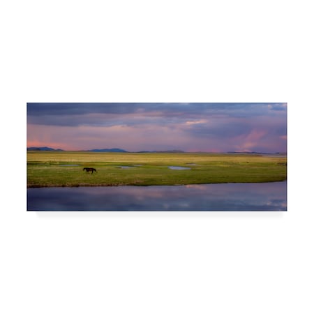 Dan Ballard 'Lone Horse' Canvas Art,20x47